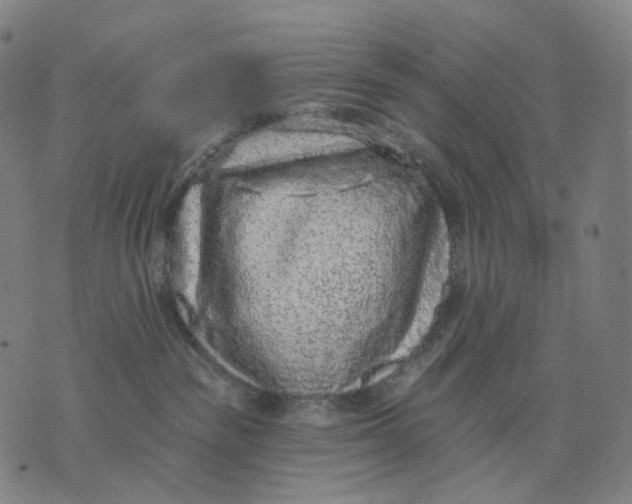 X0000071800189200607211656