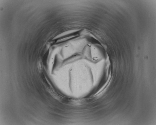 X0000071800190200607211656