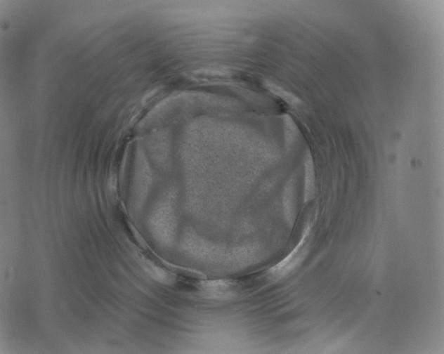 X0000071800192200607211656