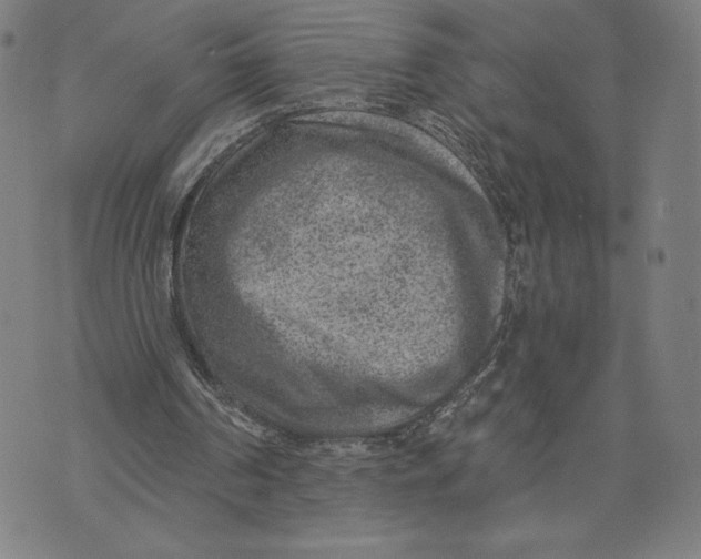 X0000071800194200607211655