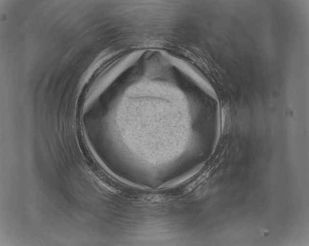 X0000071800195200607211655