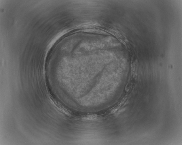 X0000071800196200607211655