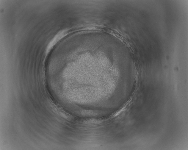 X0000071800198200607211655