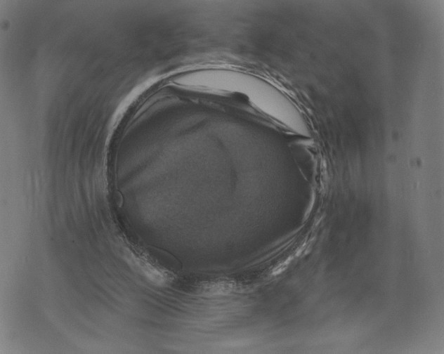 X0000071800200200607211655