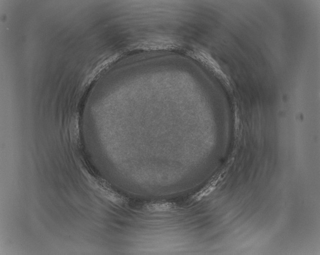 X0000071800202200607211655