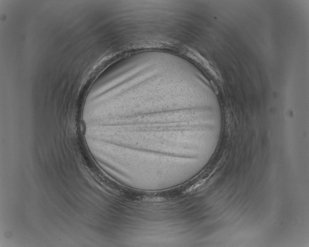 X0000071800203200607211655