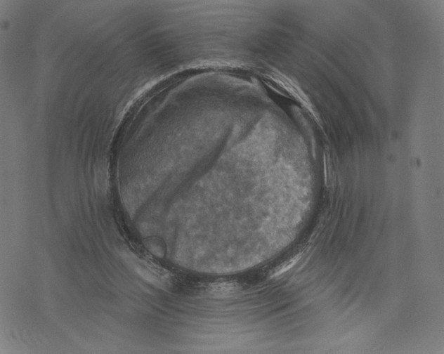 X0000071800204200607211655