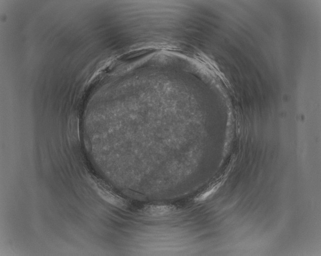 X0000071800205200607211655