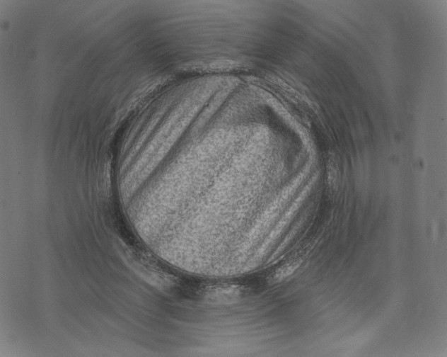 X0000071800206200607211655