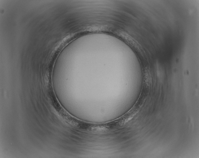 X0000071800208200607211655