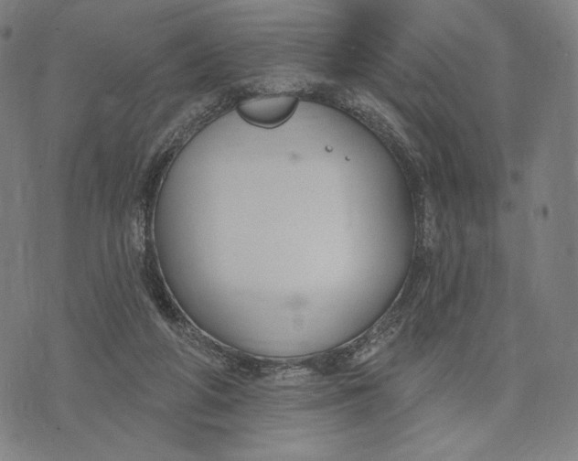 X0000071800210200607211655