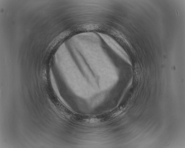 X0000071800212200607211655