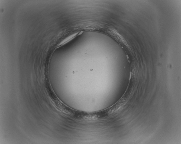 X0000071800213200607211655