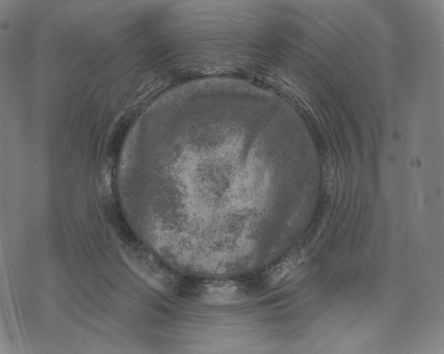 X0000071800214200607211655