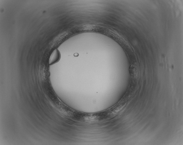 X0000071800216200607211655