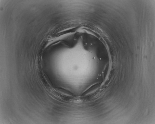 X0000071800217200607211655