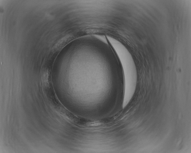 X0000071800219200607211655