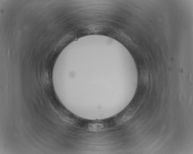 X0000071800220200607211655