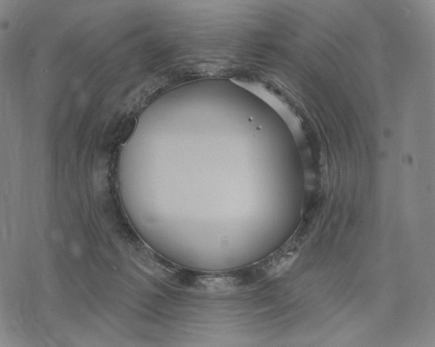 X0000071800221200607211655