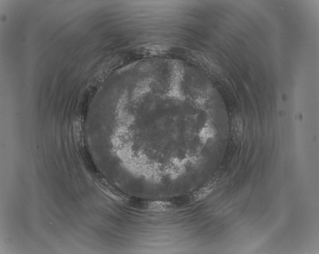 X0000071800222200607211655