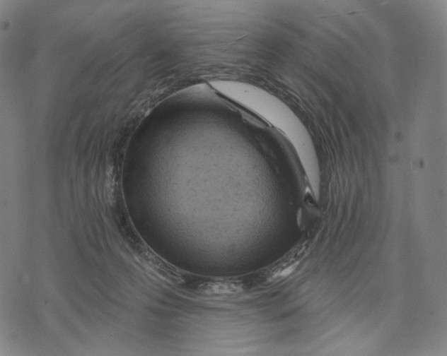 X0000071800223200607211655