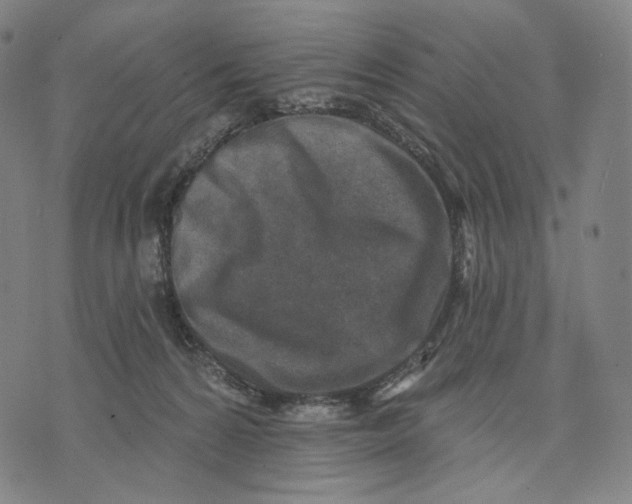 X0000071800224200607211655