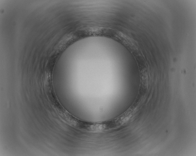 X0000071800225200607211655