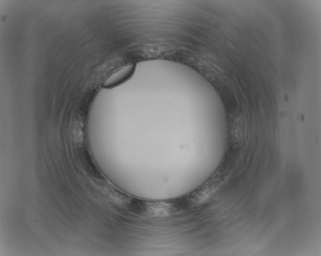 X0000071800226200607211655