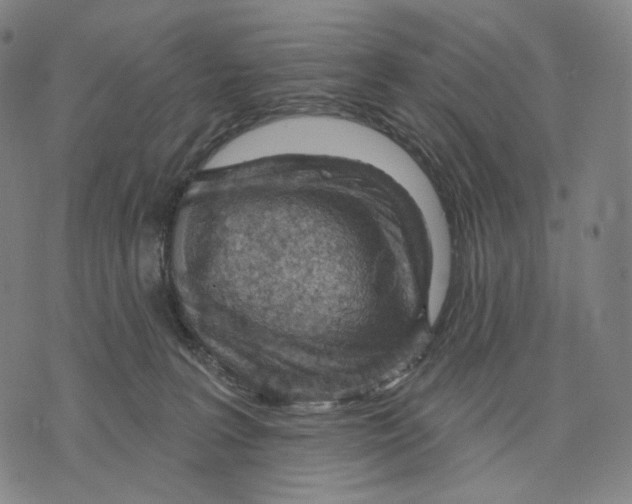 X0000071800227200607211655