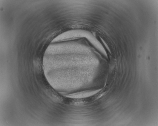 X0000071800228200607211655