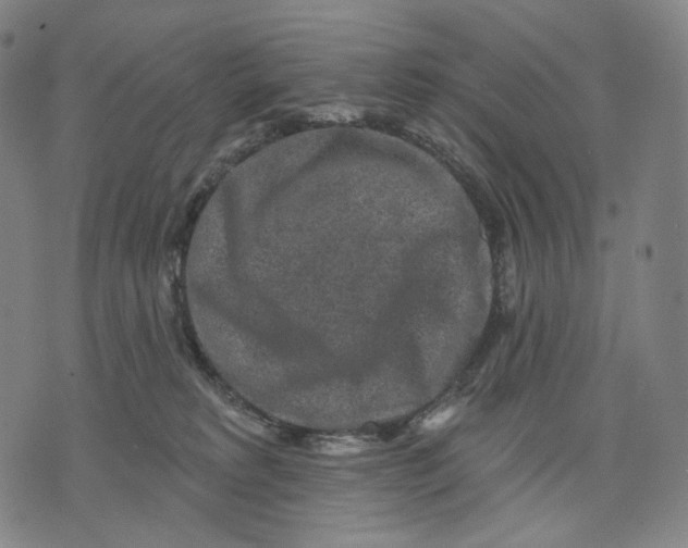 X0000071800229200607211655