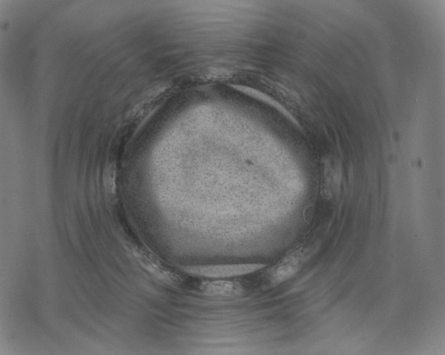 X0000071800230200607211655