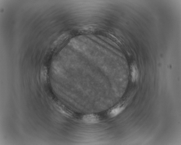 X0000071800231200607211655