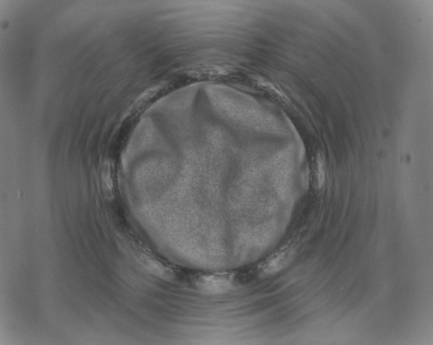 X0000071800232200607211655