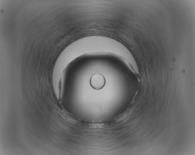 X0000071800233200607211655