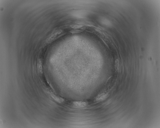 X0000071800234200607211655