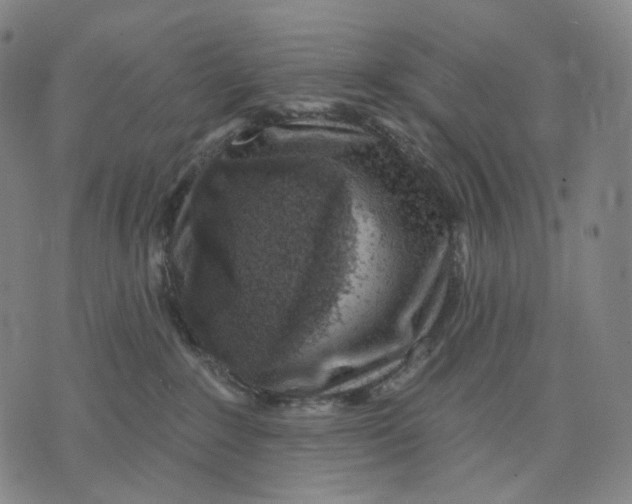 X0000071800235200607211655