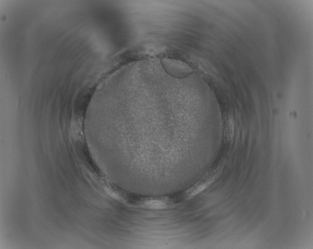 X0000071800236200607211655