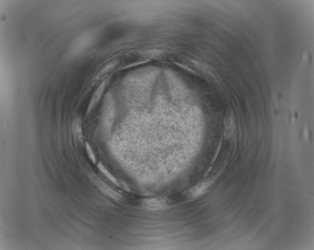 X0000071800238200607211654