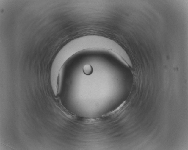 X0000071800239200607211654