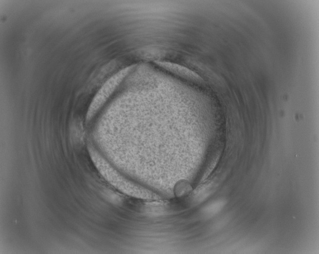 X0000071800240200607211654