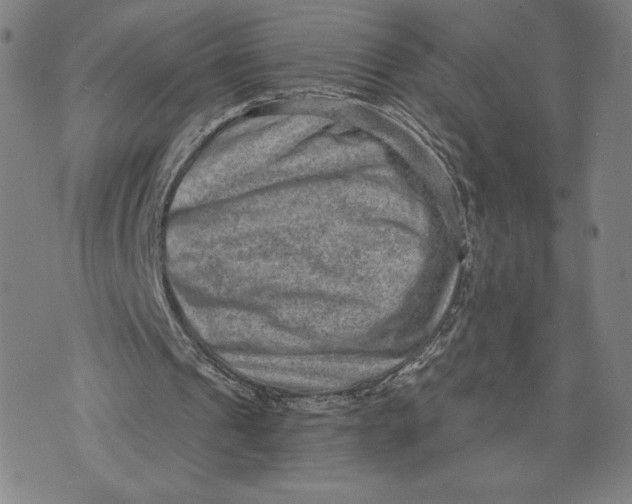 X0000071800241200607211654