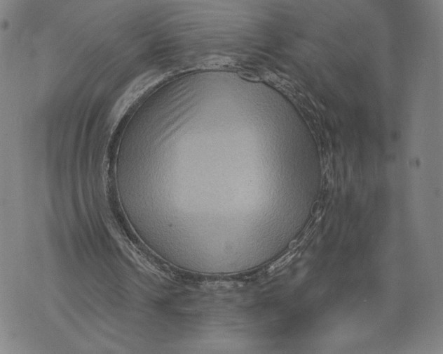 X0000071800242200607211654