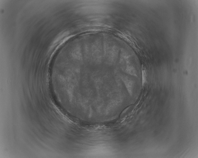 X0000071800243200607211654