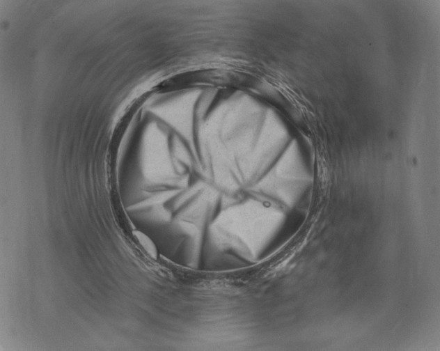 X0000071800244200607211654