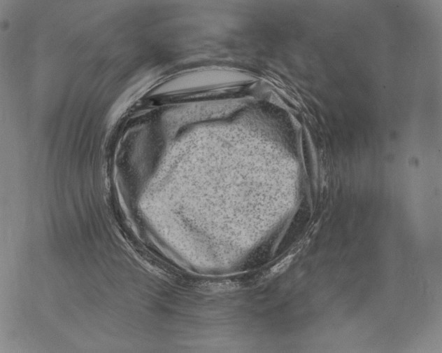 X0000071800245200607211654