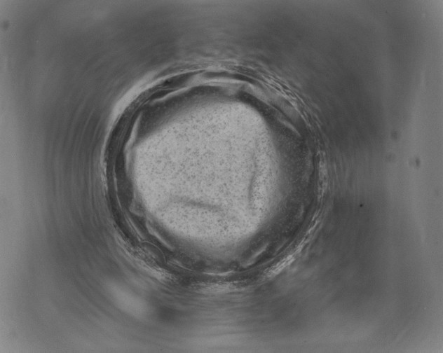 X0000071800246200607211654