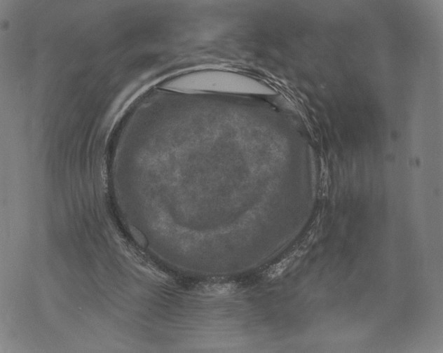 X0000071800247200607211654