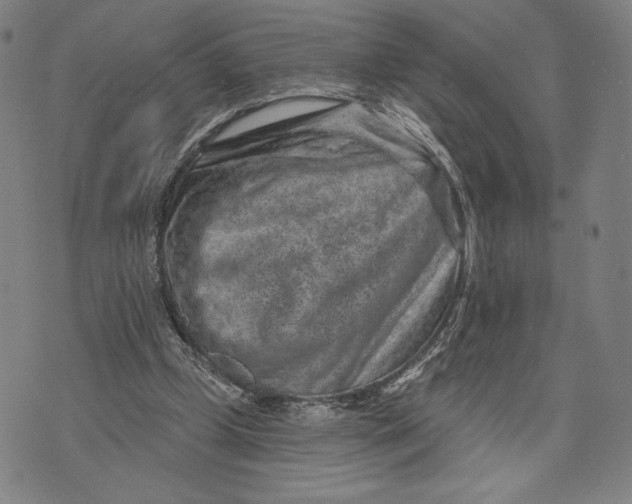 X0000071800249200607211654