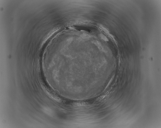 X0000071800250200607211654